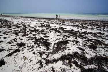 Similar image 9488498