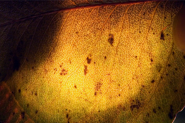 Similar image 9488509