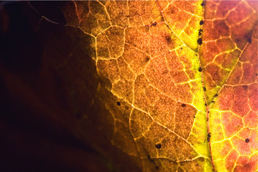 Similar image 9488511