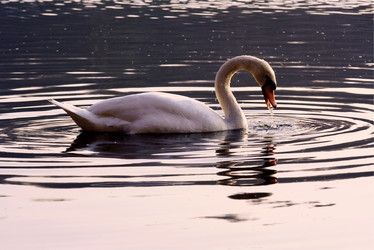 Similar image 9488551