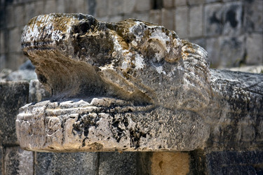 Similar image 9488555