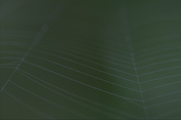 Similar image 9488558