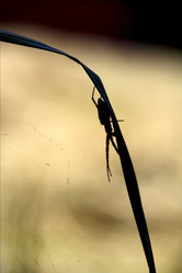 Similar image 9488559