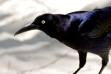 Similar image 9488563