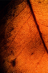 Similar image 9488569