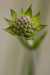 Similar image 9488580