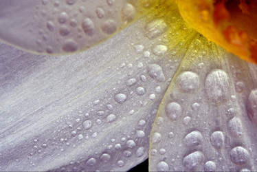 Similar image 9488582