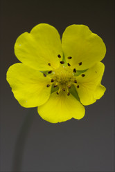 Similar image 9488583