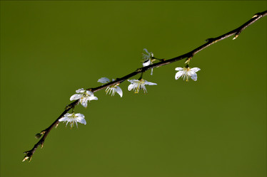 Similar image 9488587