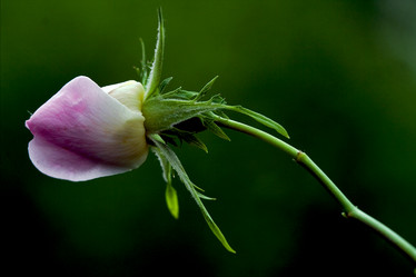 Similar image 9488603