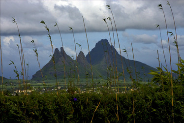 Similar image 9488612