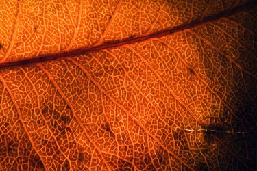 Similar image 9488619