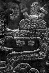 Similar image 9488631