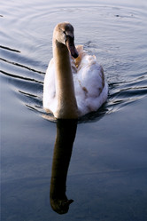 Similar image 9488745