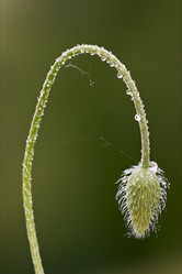 Similar image 9488755