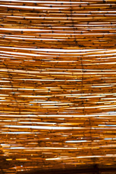 Similar image 9488783