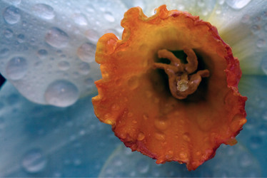 Similar image 9488789