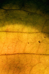 Similar image 9488796