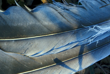 Similar image 9488913