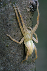 Similar image 9494345