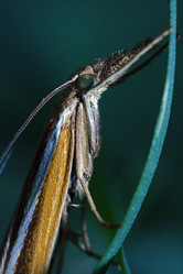 Similar image 9494369