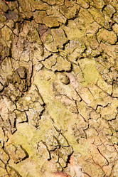 Similar image 9494548