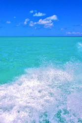 Similar image 9494916