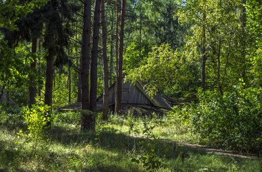 Similar image 9503553