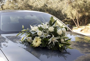 Similar image 9503933