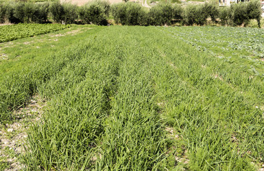 Similar image 9504057