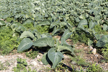 Similar image 9504063