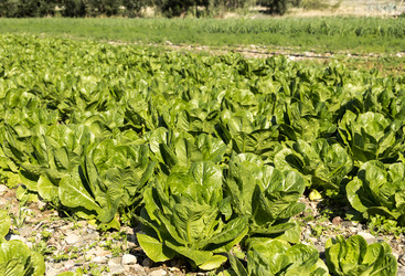 Similar image 9504066