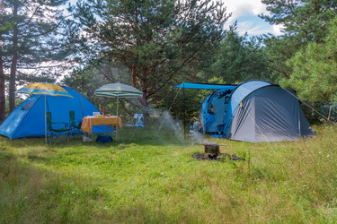 Similar image 9509642