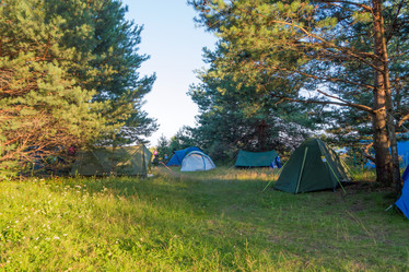 Similar image 9509647