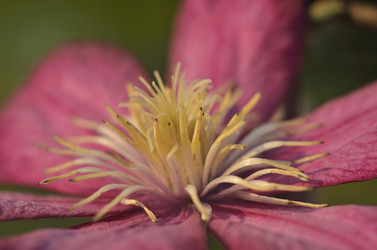 Similar image 9509655