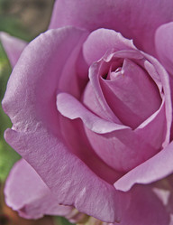 Similar image 9509669