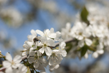 Similar image 9509672