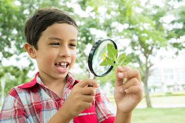 Similar image 9509948