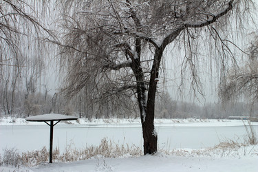 Similar image 9543361