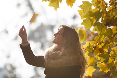 Similar image 9544158