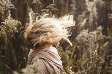 Similar image 9545270