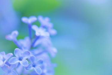 Similar image 9545386