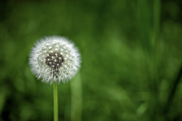 Similar image 9545388