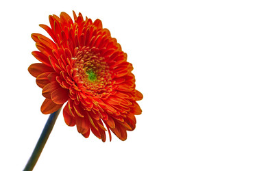 Similar image 9545397