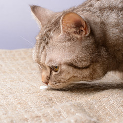 Similar image 9545582