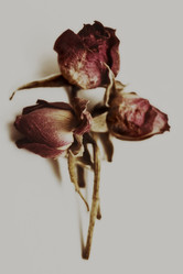 Similar image 9546082