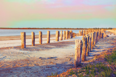 Similar image 9546275