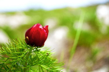 Similar image 9546277