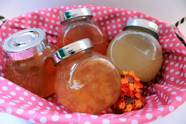 Similar image 9546415