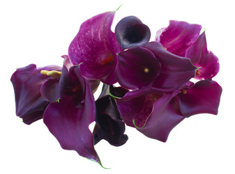 Similar image 9546486